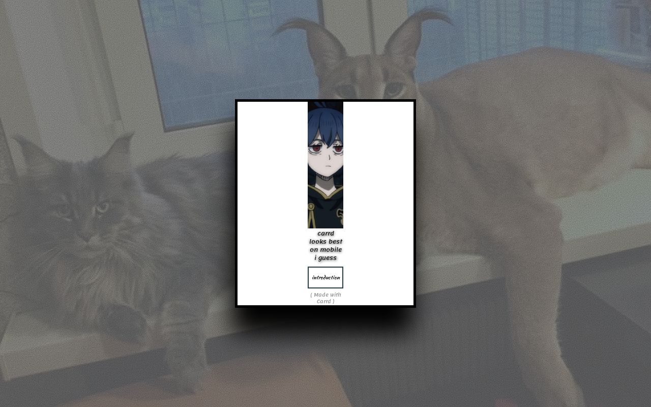 Carrd profile picture for @tortoise
